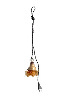 Brown Rose, Hanging Lamp
