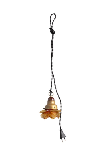 Brown Rose, Hanging Lamp
