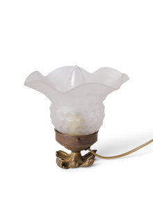 Small Frosted Tulip Lamp With Brass Chalice Base
