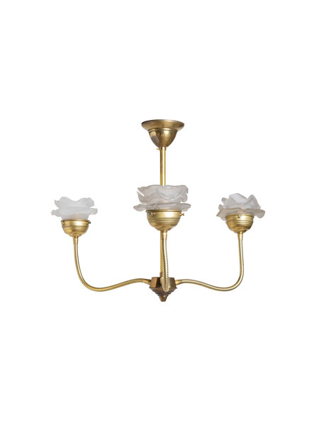 Roosjes hanglamp met koper armatuur