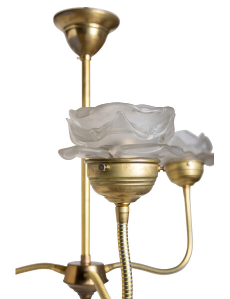 'Roosjes' pendant lamp with copper fixture