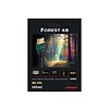 AUDIOQUEST FOREST 48 HDMI Kabel (bis 10K)