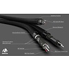 AUDIOQUEST DRAGON Stereo Cinch-Kabel