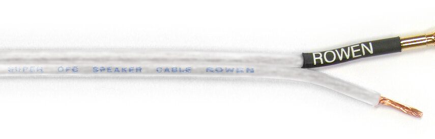 Artikel mit Schlagwort Rowen