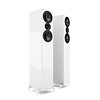ACOUSTIC ENERGY AE509 Lautsprecher (PAAR)