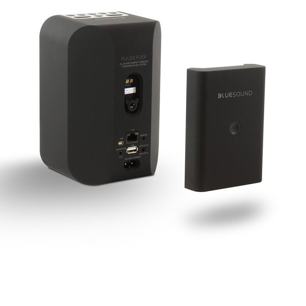 BLUESOUND PULSE-FLEX Akku-Pack