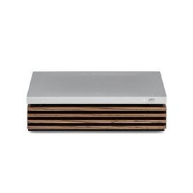R-CD100 CD-Player