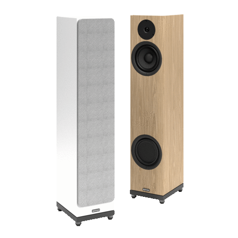 Q80 Lautsprecher (PAAR)