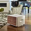 REL S/850 Subwoofer