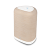 BLUESOUND PULSE FLEX (2025) All-In-One Streaming Lautsprecher