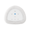 BLUESOUND PULSE FLEX (P130) All-In-One Streaming Lautsprecher