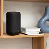 BLUESOUND PULSE FLEX (P130) All-In-One Streaming Lautsprecher