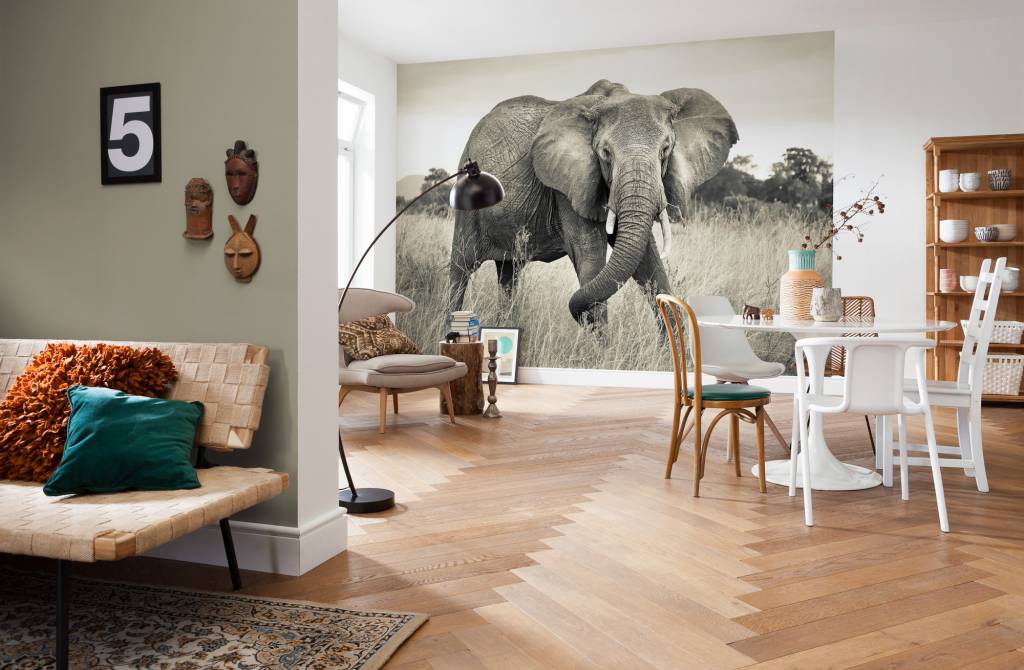 Verwonderlijk Fotobehang Komar Dieren Behang Elephant | Rap Besteld - Rap LB-28