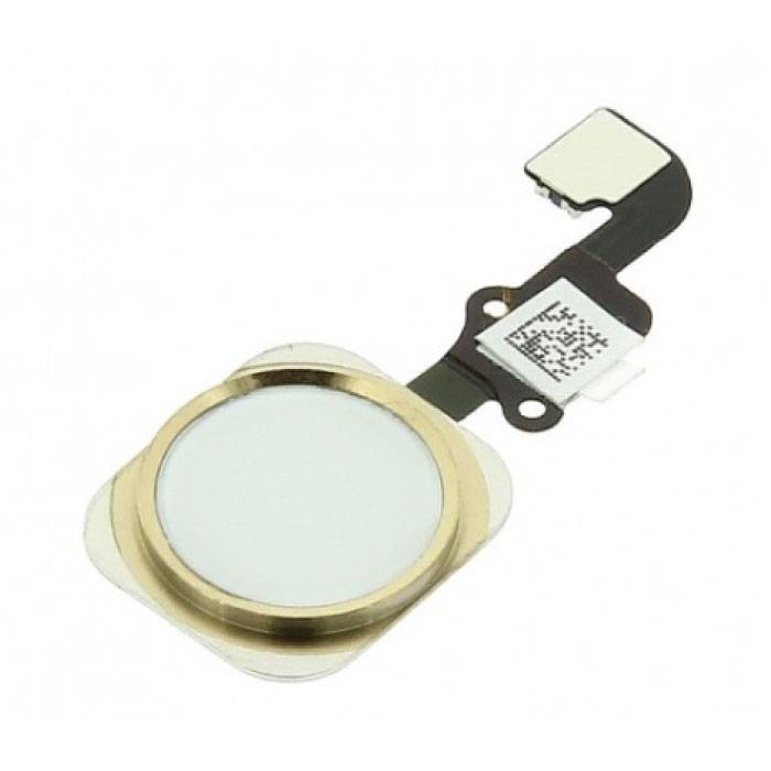 Per Apple iPhone 6/6 Plus - Assemblaggio pulsante Home AAA + con cavo flessibile oro