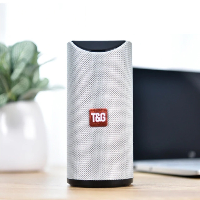 TG-113 Wireless Soundbar-Lautsprecher Wireless Bluetooth 4.2-Lautsprecherbox Silber