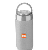 T & G Drahtloser Soundbar-Lautsprecher TG-113C Drahtloser Bluetooth 4.2-Lautsprecherbox Grau