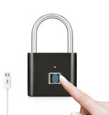 KERUI Padlock Fingerprint - 10 Sets Fingerprints - Rechargeable Smart Lock Finger Scan Bicycle Lock IP65 Waterproof Chain Lock Anti-Theft Stainless Steel Black