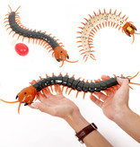 Criswisd RC Centipede avec télécommande - Centipede Toy Controlable Robot Animal Noir