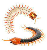 Criswisd RC Centipede avec télécommande - Centipede Toy Controlable Robot Animal Orange