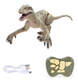 Hapybas Dinosaurio Velociraptor RC con control remoto - Robot controlable por juguete