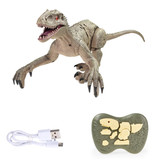 Hapybas RC Velociraptor Dinosaurus met Afstandsbediening - Speelgoed Bestuurbaar Robot