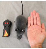 Dreams Gift Controllable RC Mouse with Remote Control - Toy Rat Robot Gray