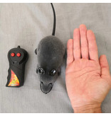 Dreams Gift Souris RC contrôlable avec télécommande - Jouet Rat Robot Gris