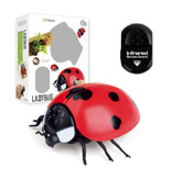 Stuff Certified® Coccinella con telecomando IR - Robot giocattolo controllabile RC Insetto rosso