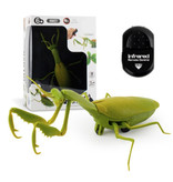 Stuff Certified® Grasshopper mit IR-Fernbedienung - RC Spielzeug steuerbarer Roboter Insektengrün