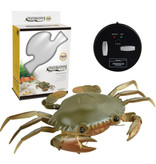 Stuff Certified® Robot Crabe avec Télécommande IR - Jouet RC Contrôlable Animal Vert