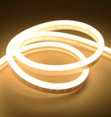 TSLEEN Bande LED Néon 5 Mètres - Tube Eclairage Flexible avec Adaptateur Prise 12V Étanche Blanc