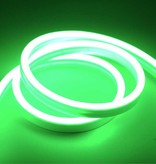TSLEEN Ruban LED Néon 1 Mètre - Tube Eclairage Flexible avec Adaptateur Prise 12V Etanche Vert