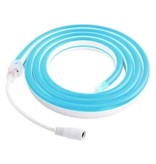 TSLEEN Bande LED Néon 5 Mètres - Tube Eclairage Flexible avec Adaptateur Prise 12V Etanche Bleu Glacé