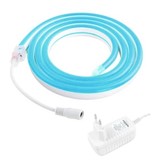 TSLEEN Bande LED Néon 5 Mètres - Tube Eclairage Flexible avec Adaptateur Prise 12V Etanche Bleu Glacé