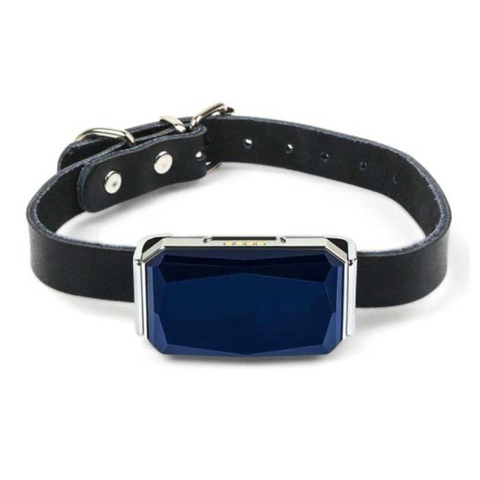 Collar rastreador GPS - Localizador en tiempo real de mascotas perdidas IP67 Carga magnética azul