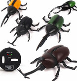 Xiximi Robot Beetle avec télécommande IR - Jouet RC contrôlable Insecte Marron