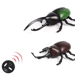 Xiximi Robot Beetle avec télécommande IR - Jouet RC contrôlable Insecte Marron