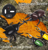 Xiximi Robot Beetle avec télécommande IR - Jouet RC contrôlable Insecte Marron