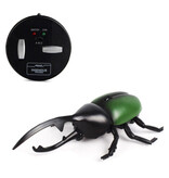 Xiximi Scarabeo robot con telecomando IR - Insetto controllabile giocattolo RC Verde