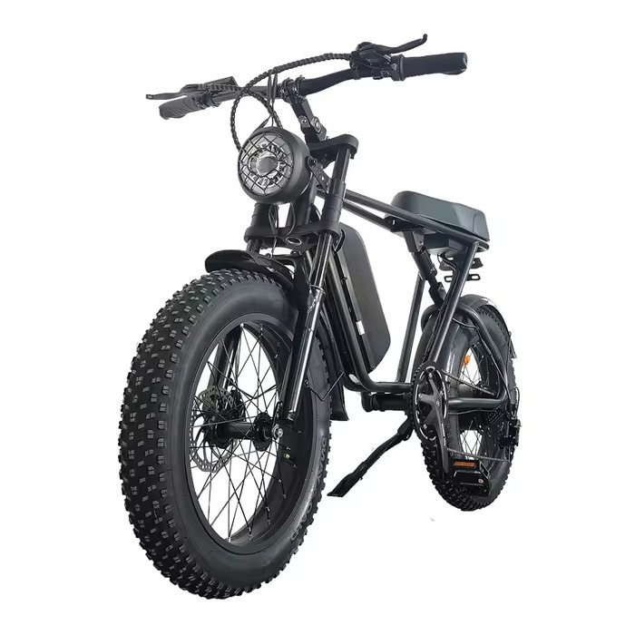 Bicicletta Elettrica C91 - Smart Fatbike Fuoristrada - 1000W - Batteria 17,5 Ah - Nera