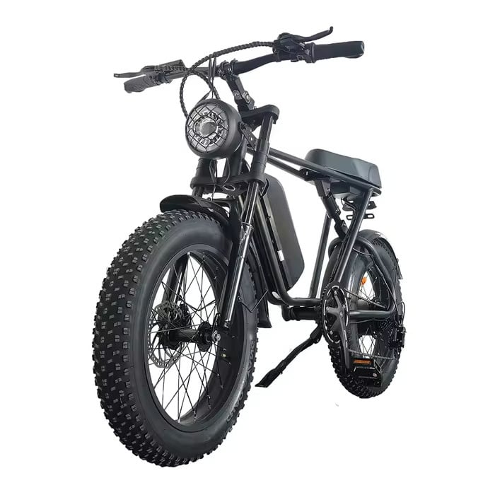 Bicicletta Elettrica C91 - Smart Fatbike Fuoristrada - 500W - Batteria 15 Ah - Nera