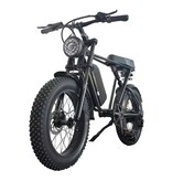 Stuff Certified® Bicicletta Elettrica C91 - Smart Fatbike Fuoristrada - 250W - Batteria 13 Ah - Marrone