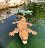 Stuff Certified® Krokodyl RC z pilotem 2.4G - Wodoodporna zabawka sterowana przez aligatora - Robot Animal - Zielony