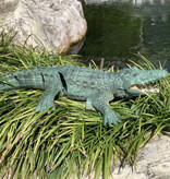 Stuff Certified® Krokodyl RC z pilotem 2.4G - Wodoodporna zabawka sterowana przez aligatora - Robot Animal - Zielony