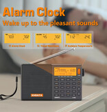 XHDATA Radio de emergencia D-808 a batería - Recargable por USB 2000 mAh - Receptor de radio FM AM SW MW - Color negro