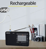 XHDATA D-328 Draagbare Noodradio - Herlaadbaar 500mAh Batterij - AM FM SW DSP Radio Ontvanger - Zwart