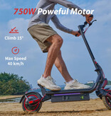 iScooter W8 Elektroroller – Faltbarer E-Scooter – 750 W – 14 Ah – Schwarz
