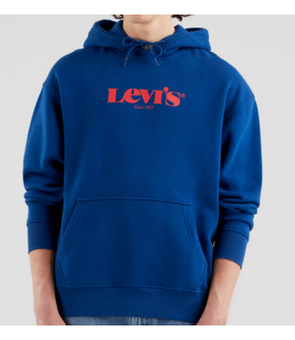 Levi's T3 relaxed graphic hoodie blauw 38821-0025