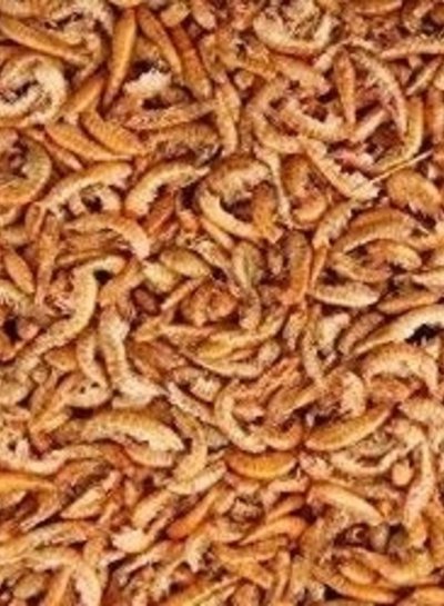 Bachflohkrebse Gammarus 250g