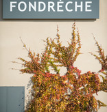 Fondrèche, Côtes du Ventoux wit, 2020